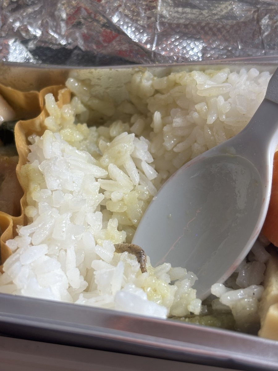 ameliazainabila's tweet photo. Guess what I found in my Economy Class meal @MAS 🤢

Flight from BKK - KUL. Unacceptable. https://t.co/rTDVBGdOsh