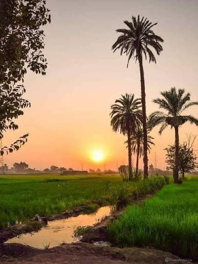 aboeltaib19's tweet photo. @Ratadha17892822 صحراء صعيد مصر https://t.co/n6VkEOGC1p