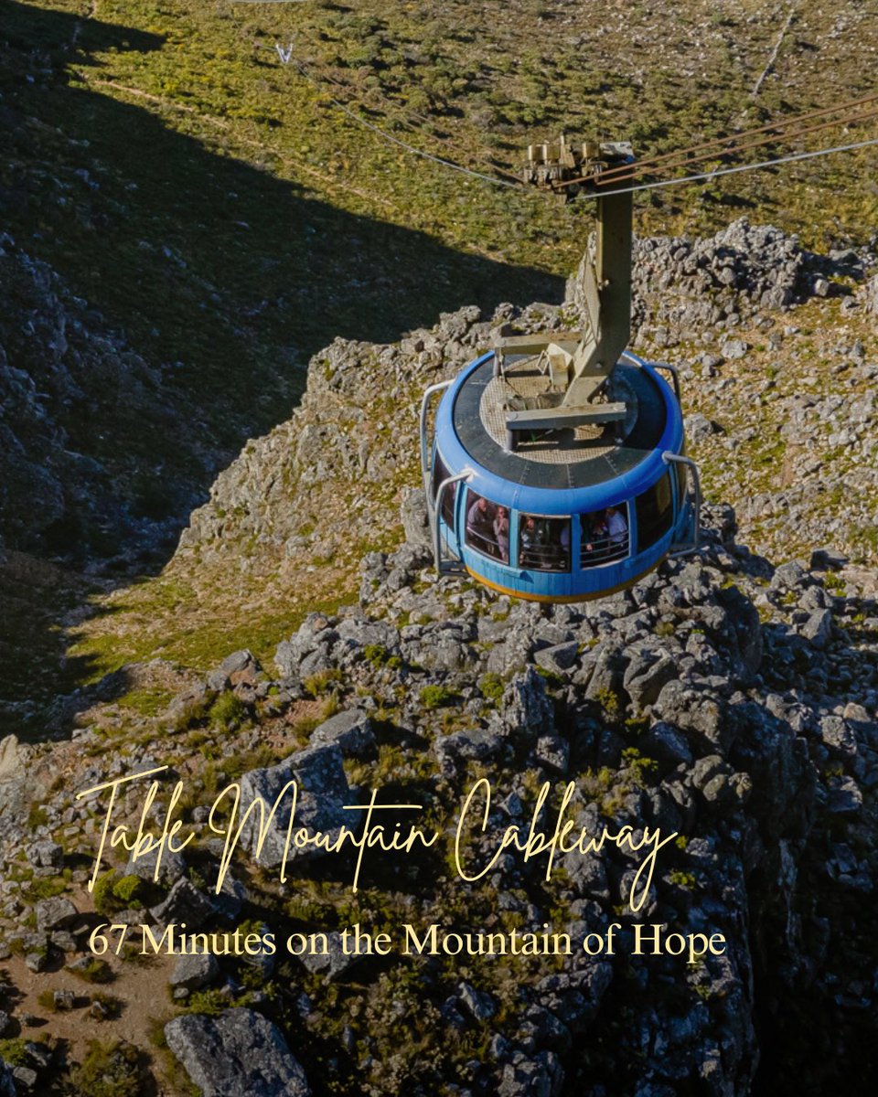 CTBig6's tweet photo. 67 minutes. 6 attractions. 1 city. 🇿🇦✔️
From conservation &amp; heritage to freedom, hope &amp; reflection, discover how the Cape Town Big 6 can help you honour Mandela Month with purpose.
🔗 Read our latest blog: https://t.co/6WCyTBpyeB 
#CapeTownBig6 #67Minutes #MandelaMonth https://t.co/QRX8boDURz