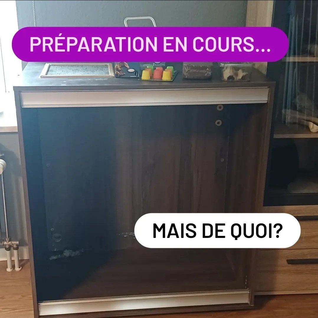 RMCrations2's tweet photo. Dimanche direction Liège pour récupérer un nouveau compagnon,  mais quoi?....info dimanche 👀 https://t.co/A0NbhsCuqf