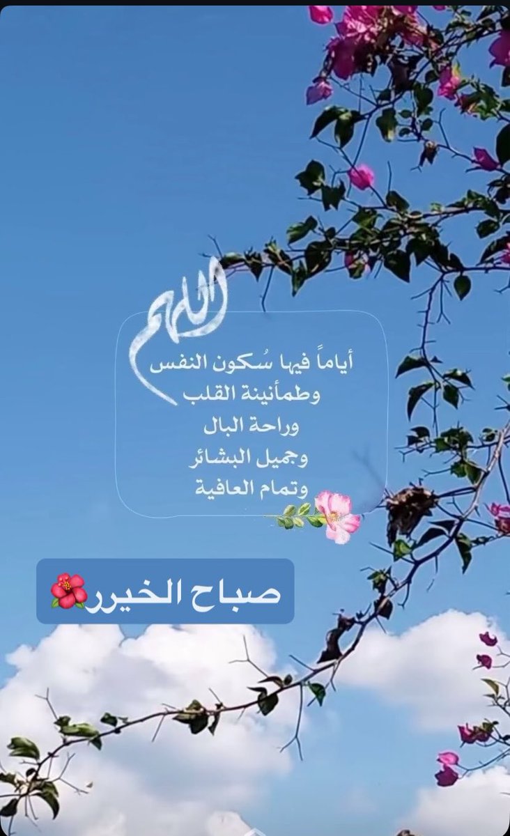 roro41170748's tweet photo. صباح الخيرر🌺
ونهاركم سعيد🍒 https://t.co/J6RM6gtF4C