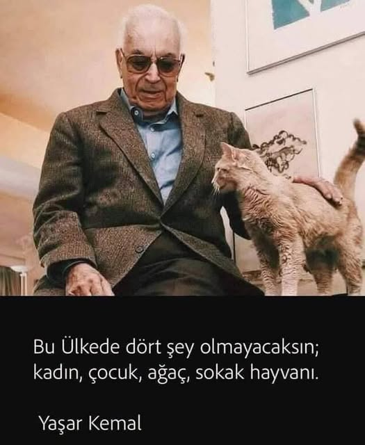 DeSeteneya's tweet photo. Birde emekli olmayacaksın!

#sefaletiçindeyaşıyoruz https://t.co/CmRdk47O72