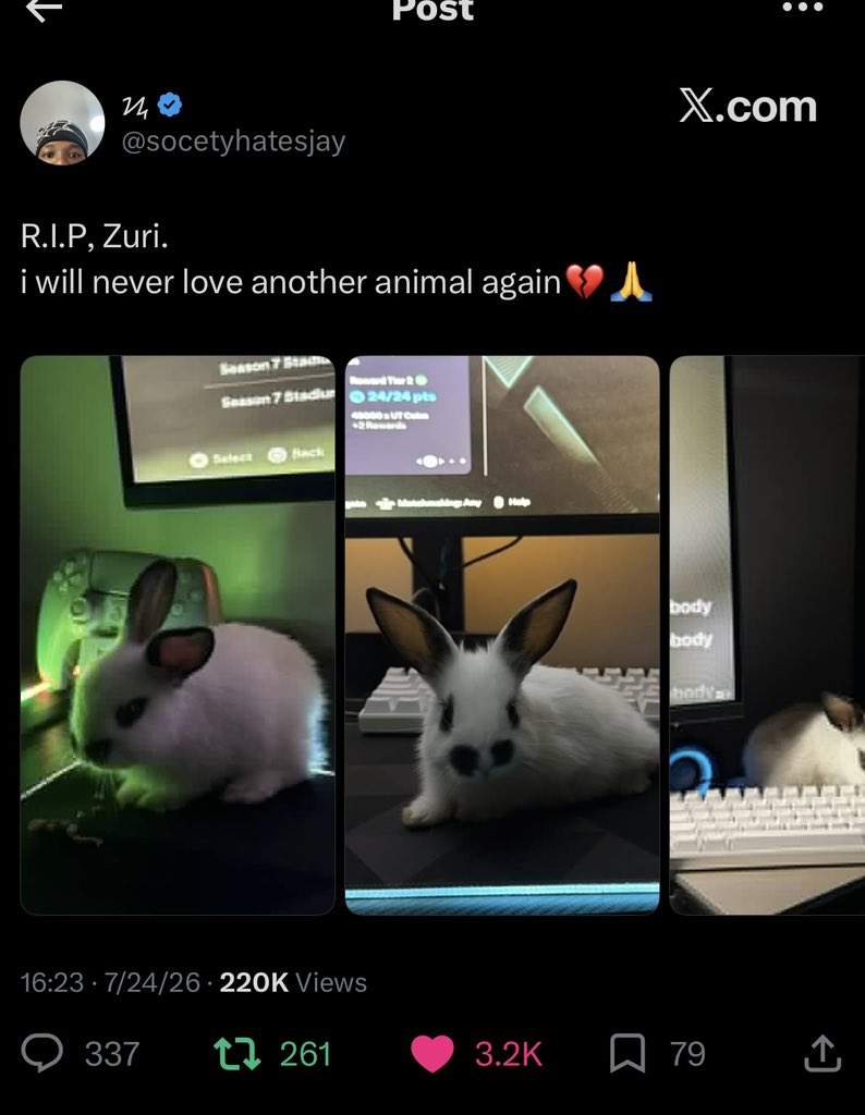 Blessedonx1's tweet photo. Pet na investment😭 https://t.co/s4xvMqmayr