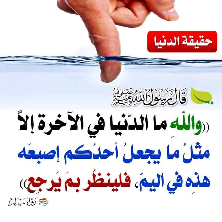 aboeltaib19's tweet photo. @tom4th69_aaa https://t.co/bxqNpPtEG5