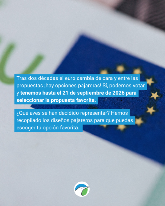 SEO_BirdLife's tweet photo. 💚Podemos tener aves en nuestros billetes de euro. https://t.co/15pIcu1Ew5