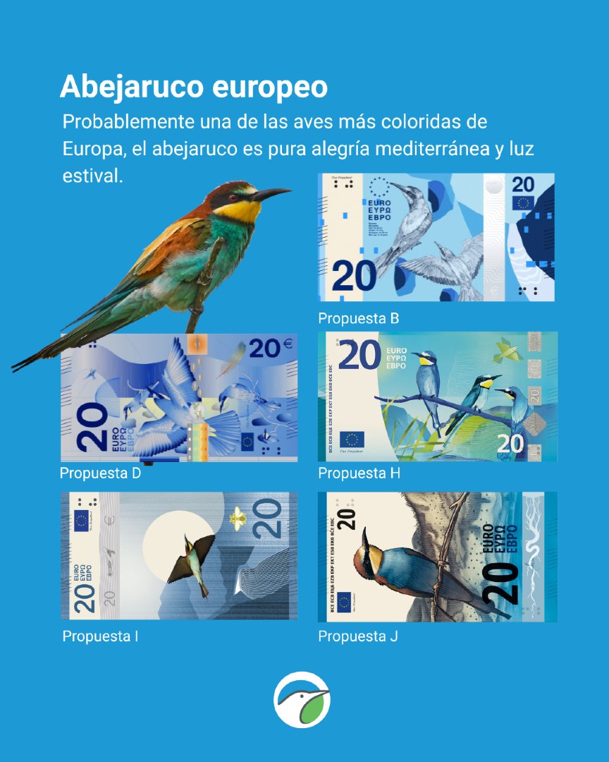 SEO_BirdLife's tweet photo. Sí, eso es. En 5 de propuestas seleccionadas para el cambio de diseño de los billetes hay aves, y tú, si tú, puedes votar para que salga. https://t.co/yVv8m4NZd6