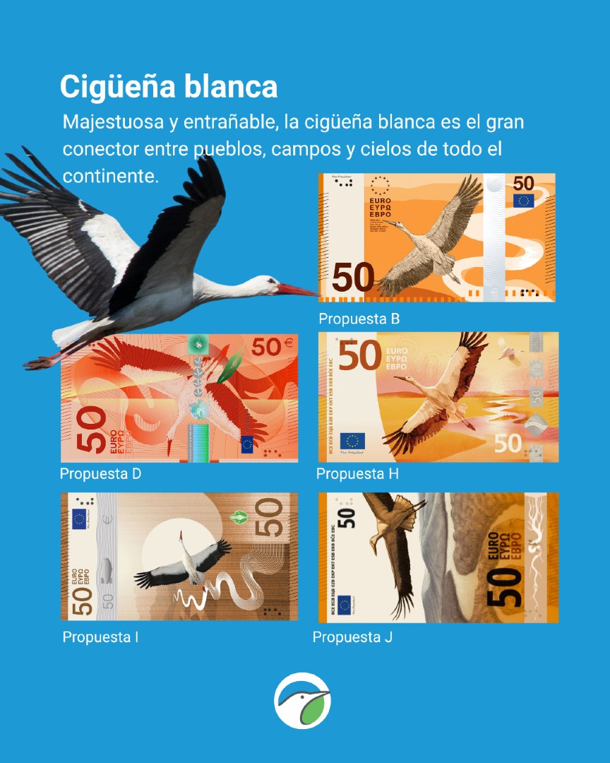 SEO_BirdLife's tweet photo. Sí, eso es. En 5 de propuestas seleccionadas para el cambio de diseño de los billetes hay aves, y tú, si tú, puedes votar para que salga. https://t.co/yVv8m4NZd6