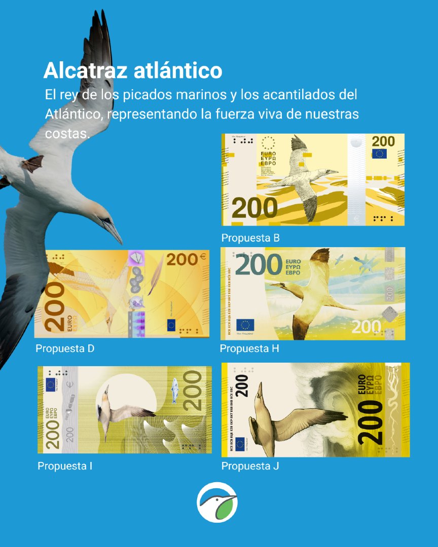 SEO_BirdLife's tweet photo. ¿Dónde? 👉 Aquí https://t.co/JVlqEb1oHN https://t.co/B6c0aucZAJ