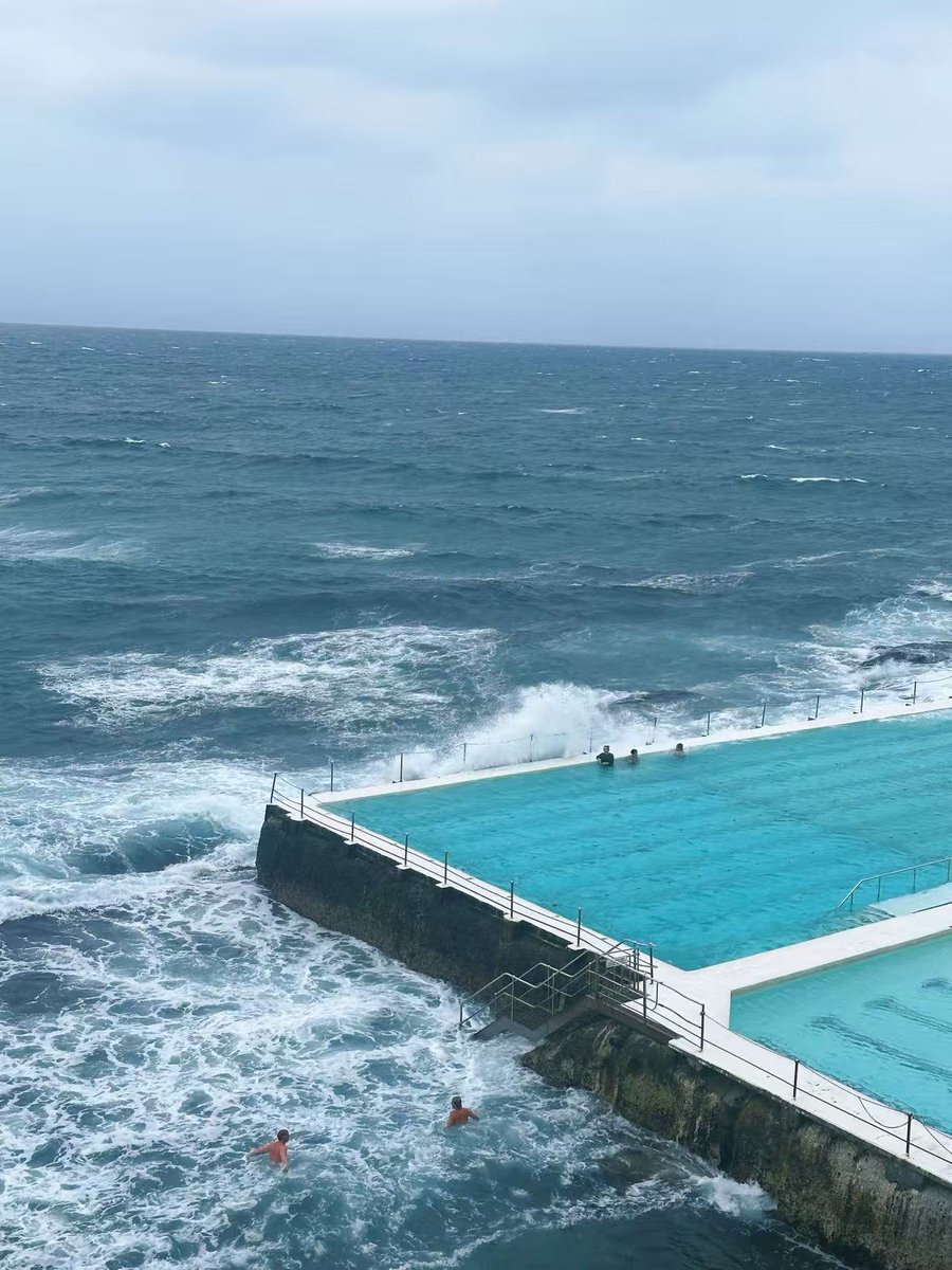 uccudd's tweet photo. 🇦🇺Bondi https://t.co/FxQg7W7VqP