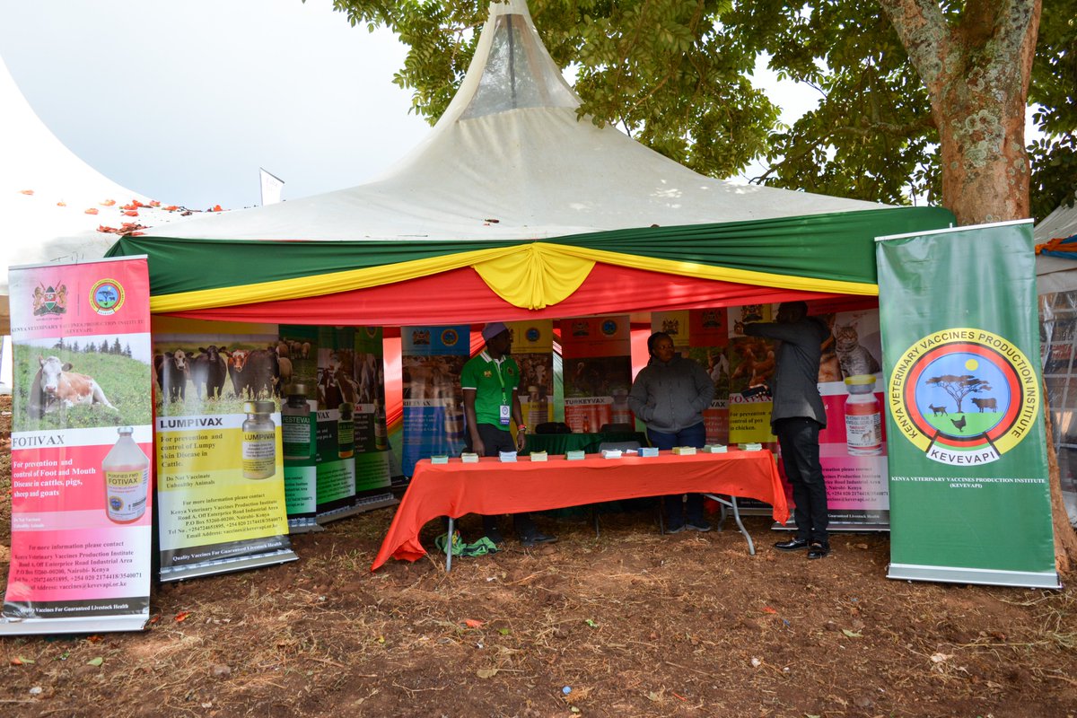kevevapi's tweet photo. 📍 The wait is over! The KEVEVAPI stand at the Meru ASK Showground is fully set up, beautifully branded, and ready for you! 🎪✨We are officially open and ready to engage with dairy farmers at the Meru Central Dairy Co-operative Field Day. #MeruDairyFieldDay https://t.co/3OciBRMrp6