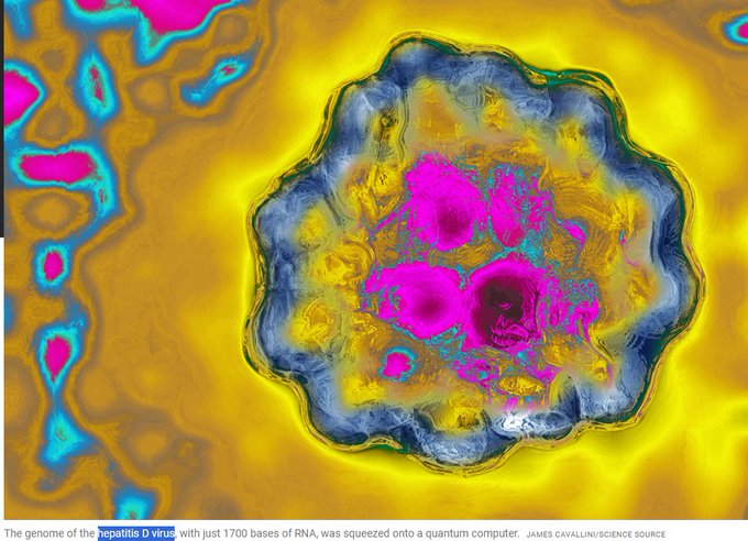 FenixNFA's tweet photo. Hepatitis D is the first EVER virus to be loaded into a quantum computer.

This is a huge breakthrough for quantum computing and will be talked about by all quantum tek nerds.

i feel like we could meme this so hard

https://t.co/R5FGo3Cvdo

https://t.co/jcP8z8TxFJ https://t.co/f4FtrUwkan