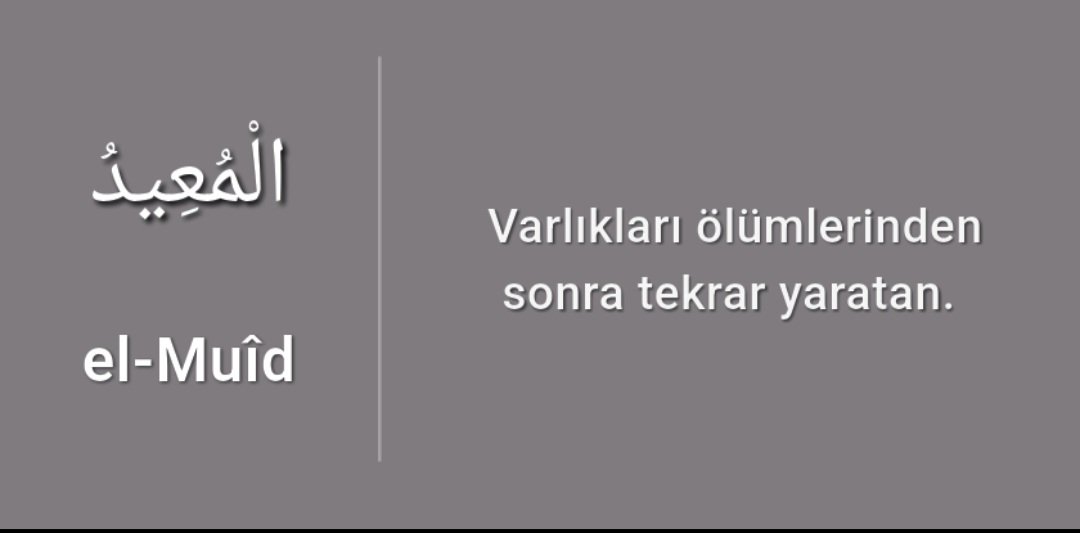 Selami Özyiğit tweet media