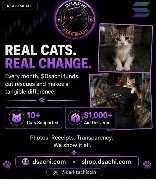 Match it 🖤🐈⬛ tweet media