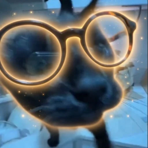 Nukooszn's tweet photo. idk how no one deployed this

this cat is going viral wearing glasses and everyone is calling him a nerd in the comments

$nerdcat - ermm actually 🤓

https://t.co/nU4qqXfhi4 https://t.co/5ZTartTFSY