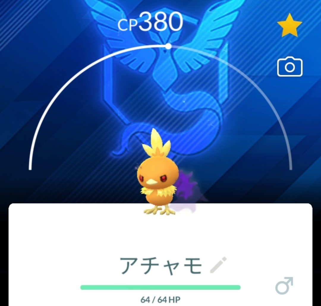 janneruna's tweet photo. シャドウの背景もあるのね👀‼️

#アチャモ
#ポケモンGO https://t.co/llGEC5gm6a