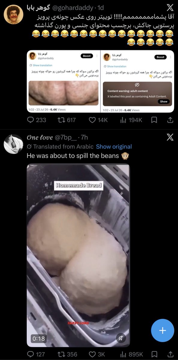 shax tweet media