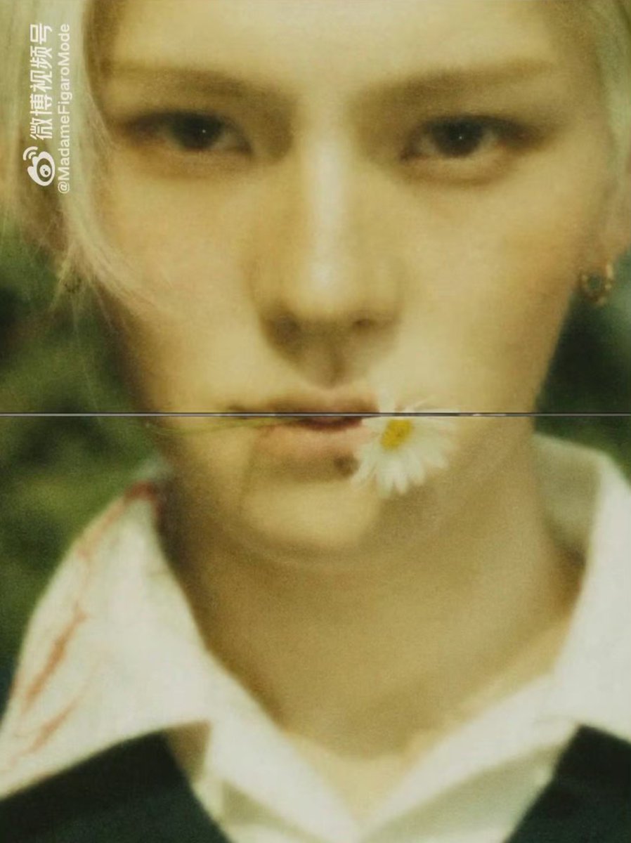 로나 tweet media