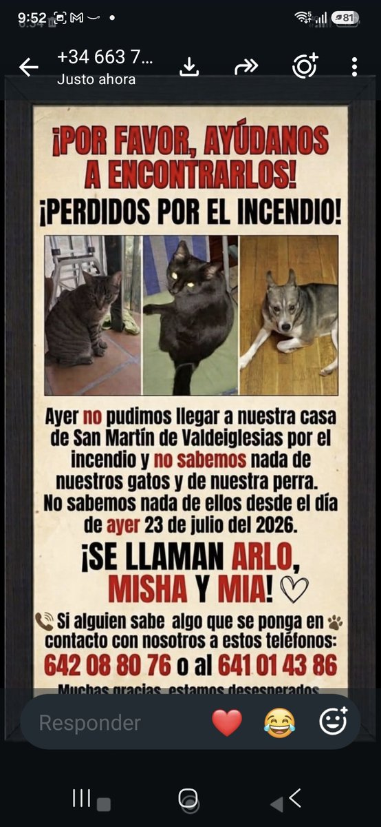 Cassandracass50's tweet photo. Alguien en San Martín de Valdeiglesias o Pelayos que pueda contactar para ir a ver si estos animales están bién.
Sus dueños ya no pudieron pasar a por ellos.🙏
Cada rt es una posibilidad y una ayuda más grande de lo que parece.
Gracias a todos https://t.co/nJLd3uu9f2
