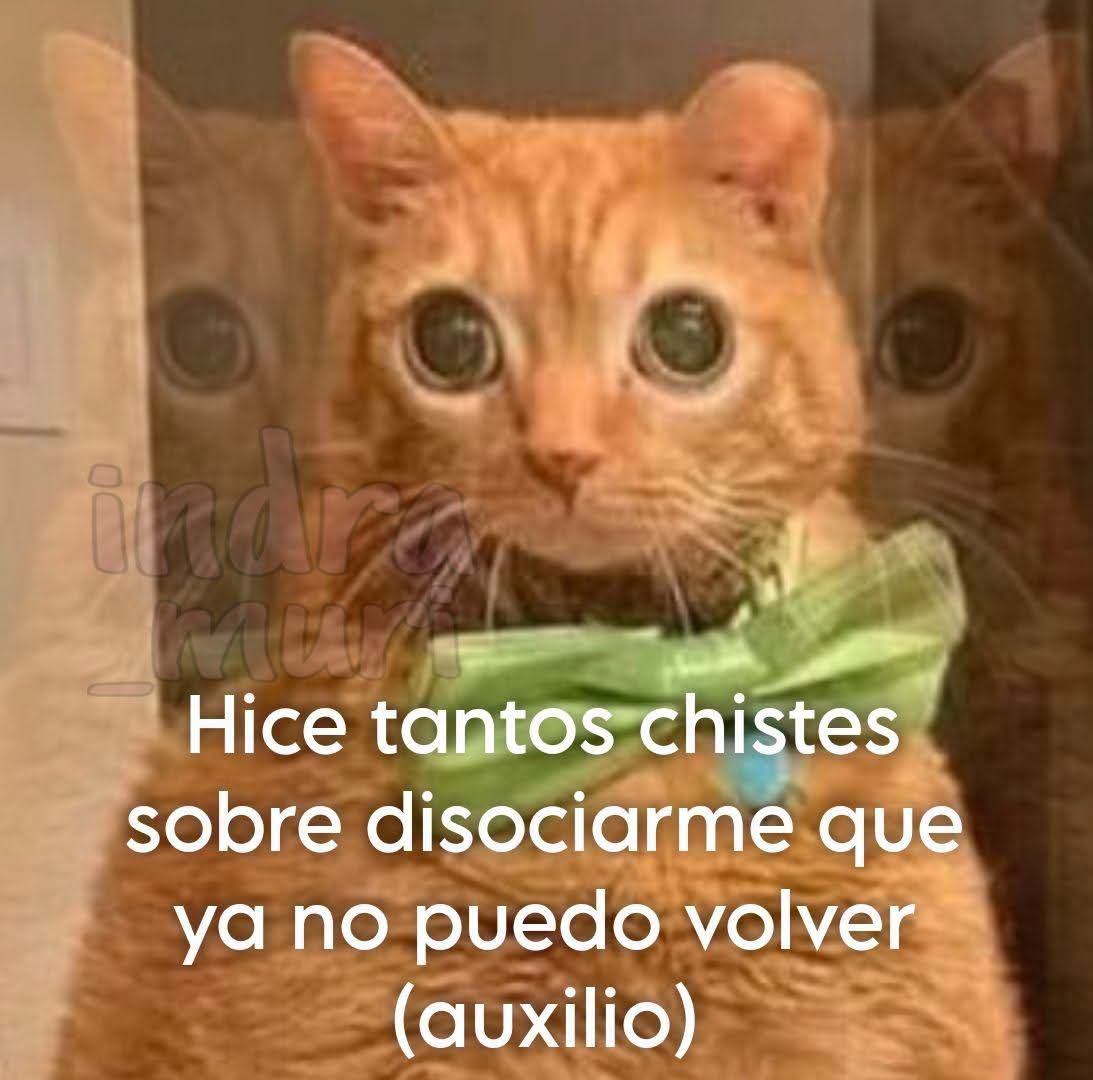 ojoscol0rsol's tweet photo. https://t.co/e136aC1rIo