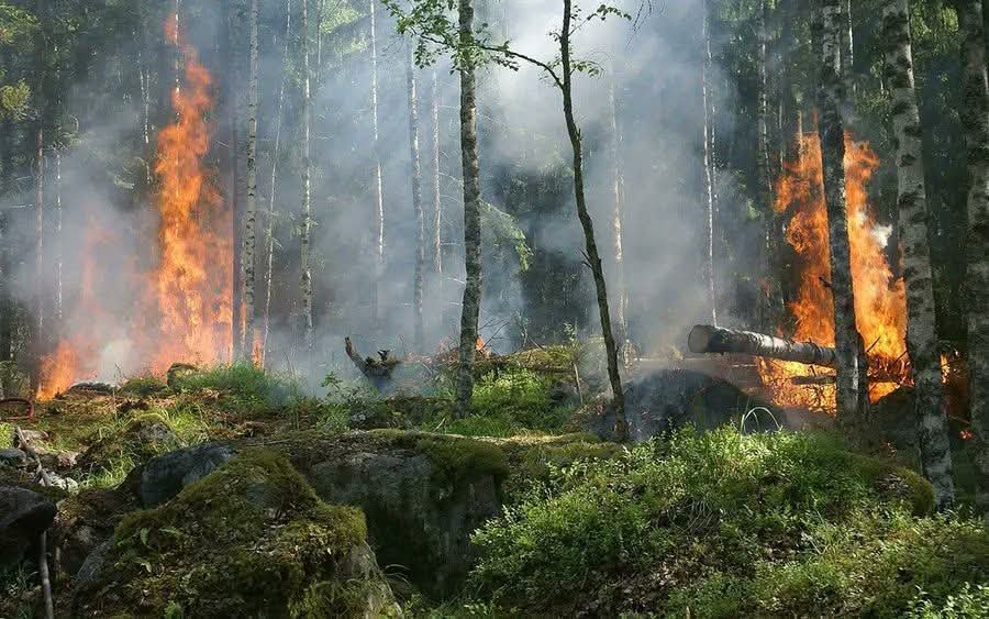 Farmaceuticos_'s tweet photo. 🔥 Desde el Consejo General de Farmacéuticos queremos enviar nuestro apoyo y solidaridad a los afectados por los incendios que asolan España, especialmente en Madrid, Castilla-La Mancha y Castilla León. 
 
🥼 También queremos reconocer a las farmacias y sus profesionales que, con una profunda vocación de servicio y apoyados por sus Colegios de Farmacéuticos, continúan garantizando el acceso a los medicamentos en los momentos más difíciles.

🫂  Y nuestro apoyo a bomberos, cuerpos y fuerzas de seguridad del Estado y administraciones que están participando en su extinción.