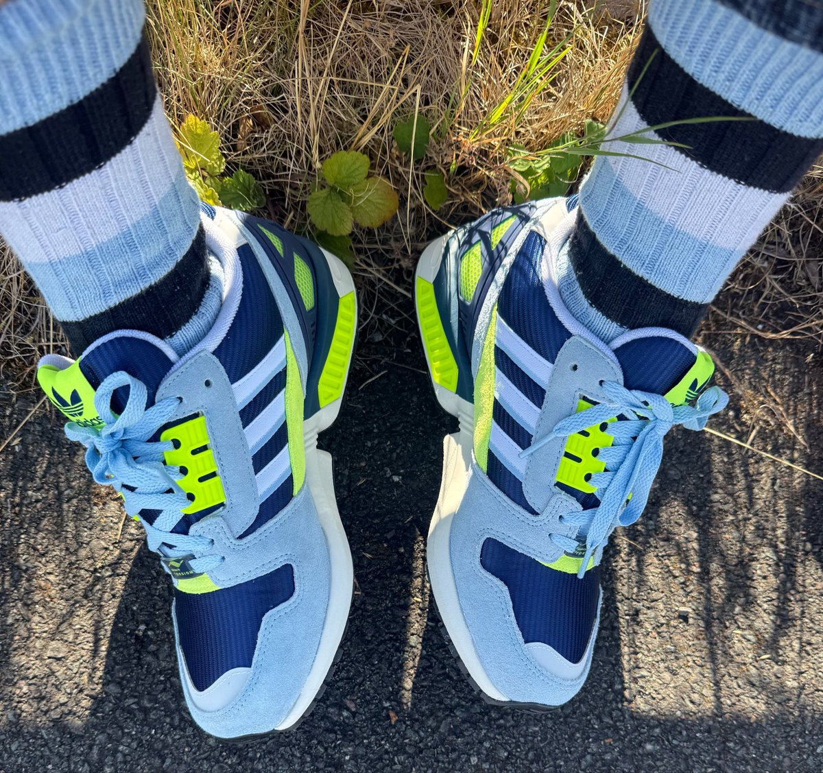Hoodie1973's tweet photo. Cheeky little 
#socksoutsaturday
@SockCouncil https://t.co/1zK99NGRDh
