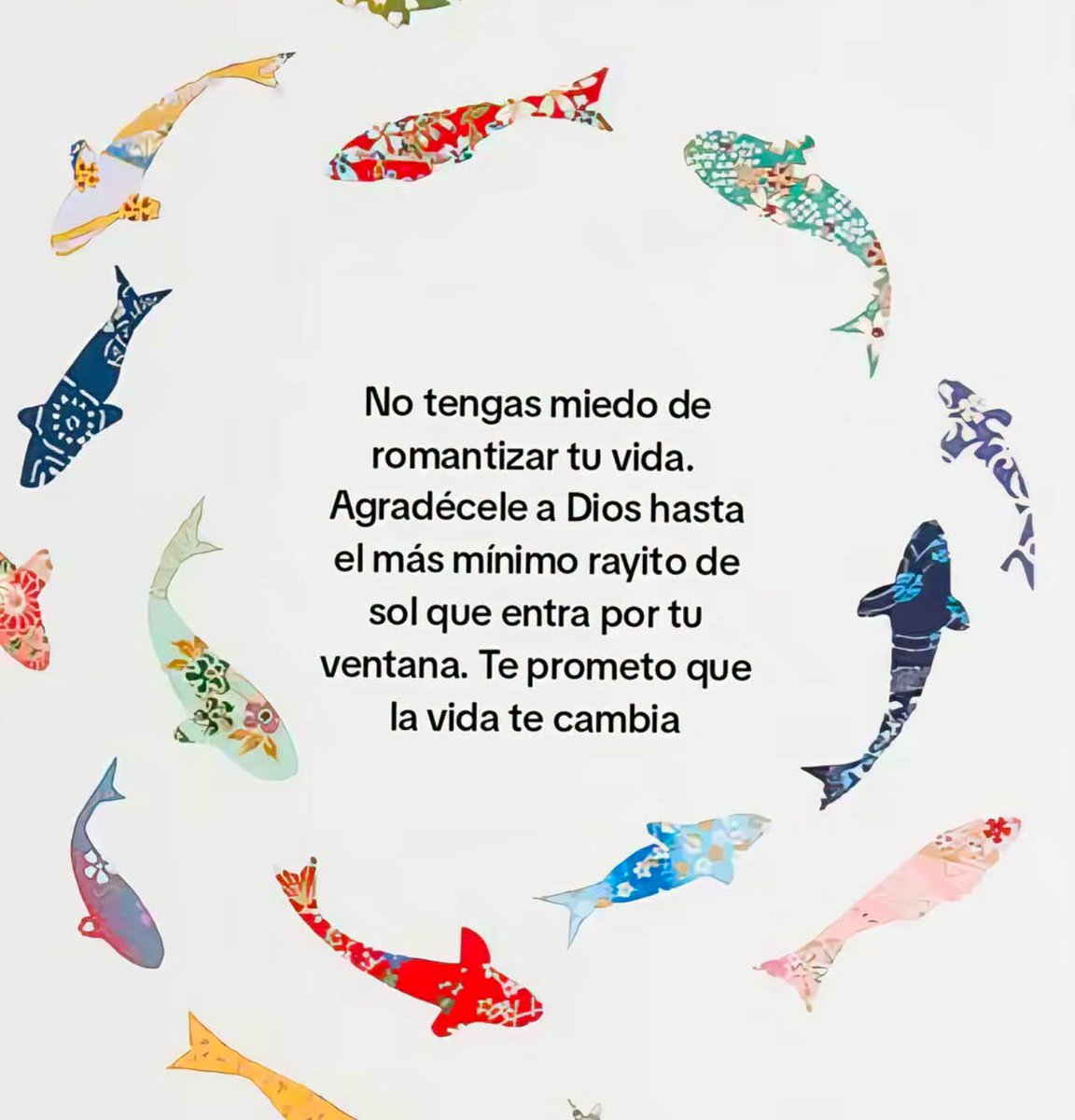 ojoscol0rsol's tweet photo. https://t.co/YMZWt1J2dG