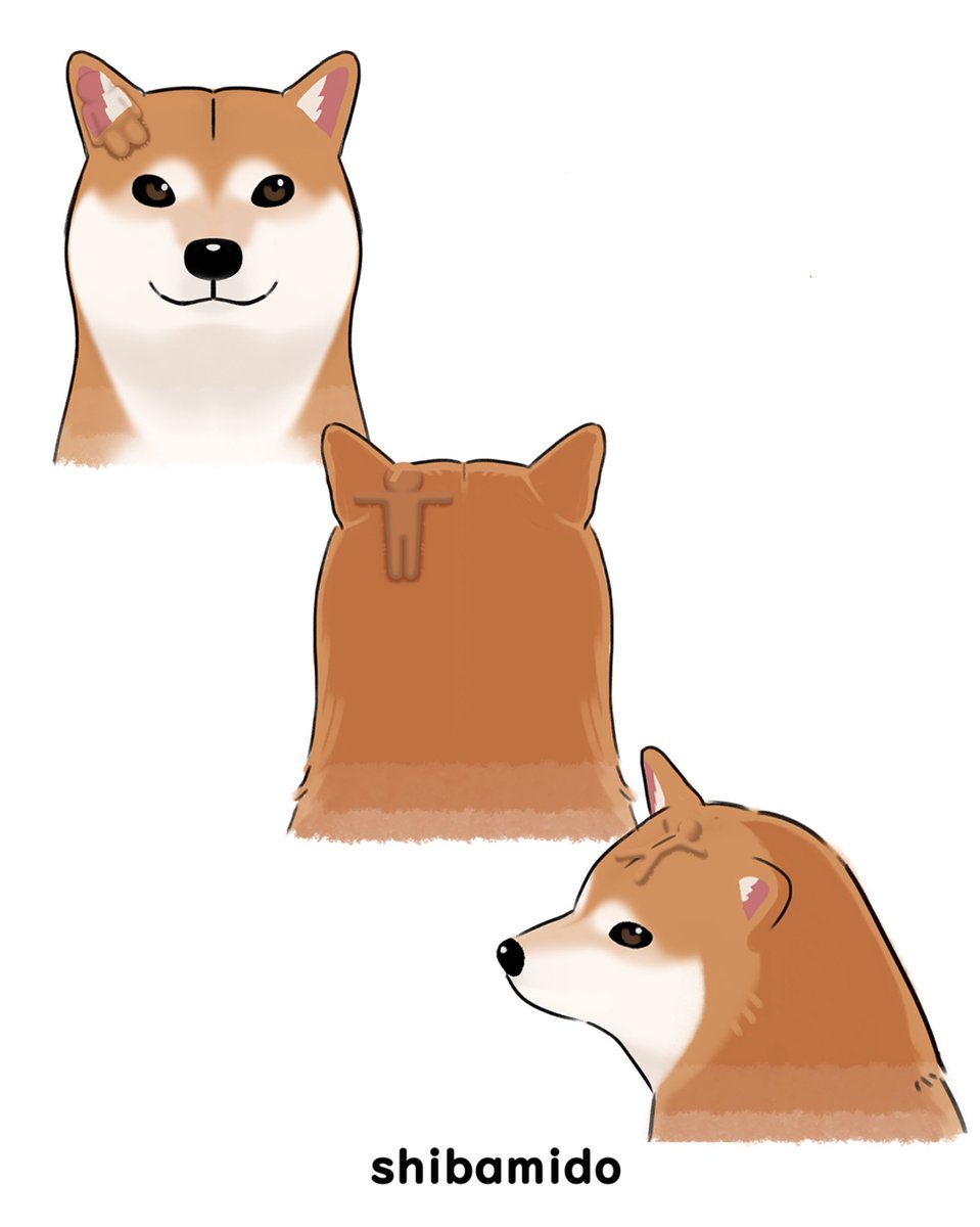 shibamidoo's tweet photo. めっちゃカメレオン
もし柴犬ステージがあったら���？
レベル1：擬態している人を探せ…！ https://t.co/siNXSVX561