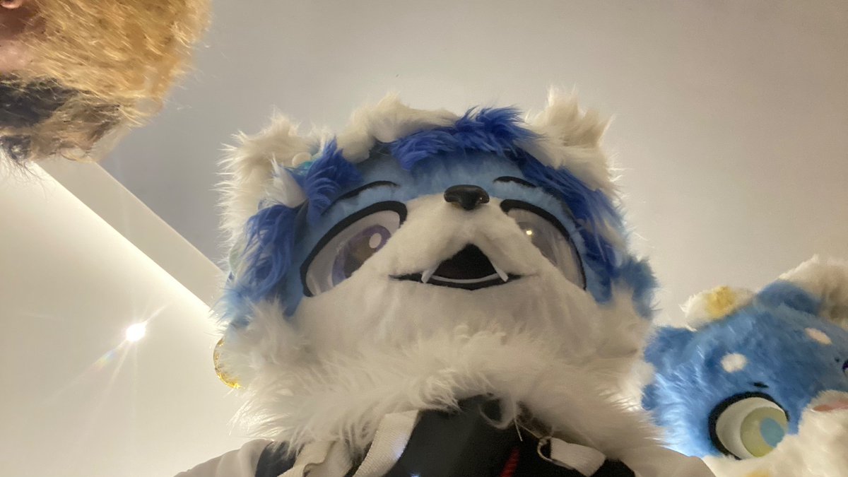 alaskaxender's tweet photo. Hmm hi https://t.co/XNsBQ7l4Vz