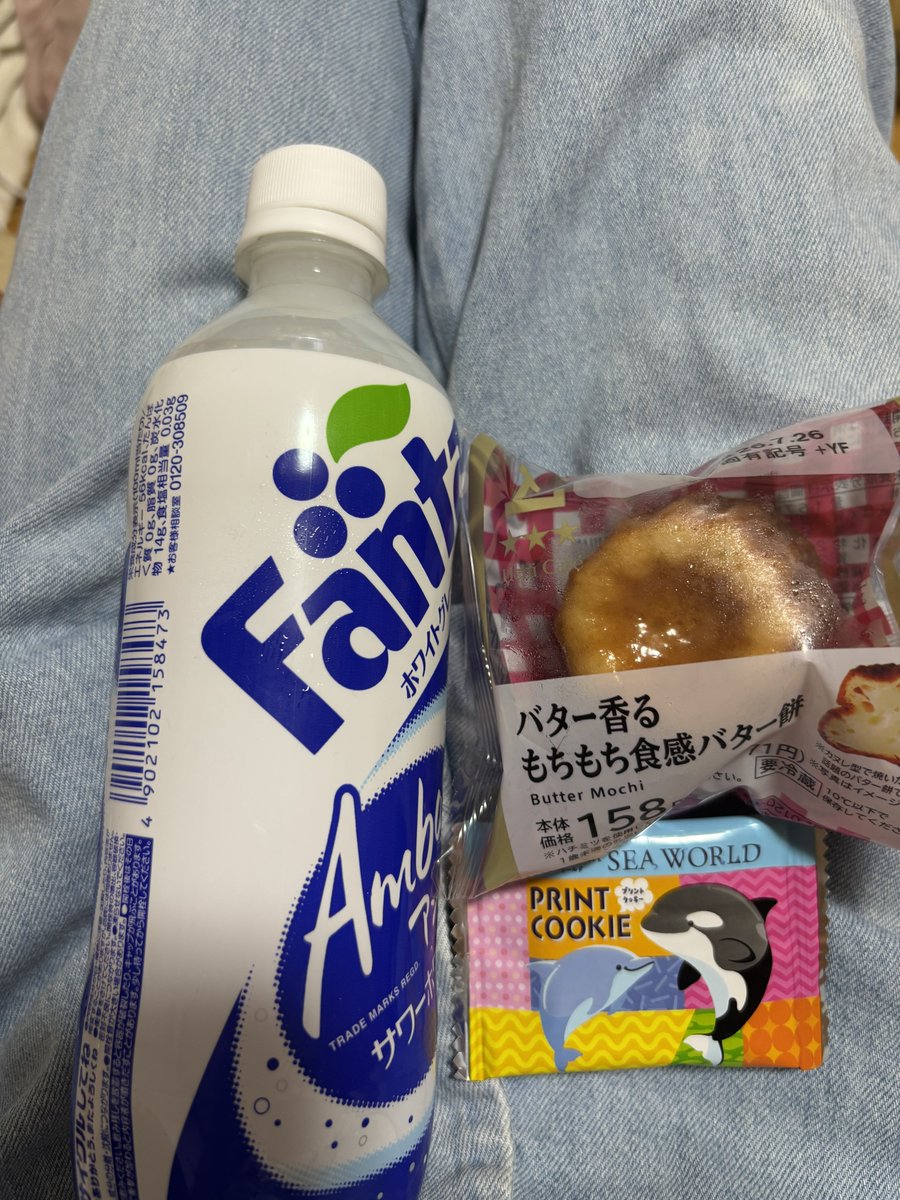 海月 tweet media
