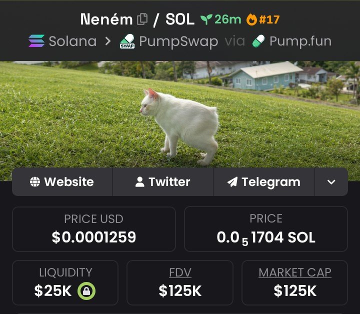Crypto__Guard's tweet photo. $Nenem was first shared with members at $125K MCAP📍

Ca: GPJZWSVZpYsRxuzhv1DKDGTmawPgSxUSd6fpja7Tpump

#memecoin #SOL #Nenem https://t.co/3YJOrLvx7n