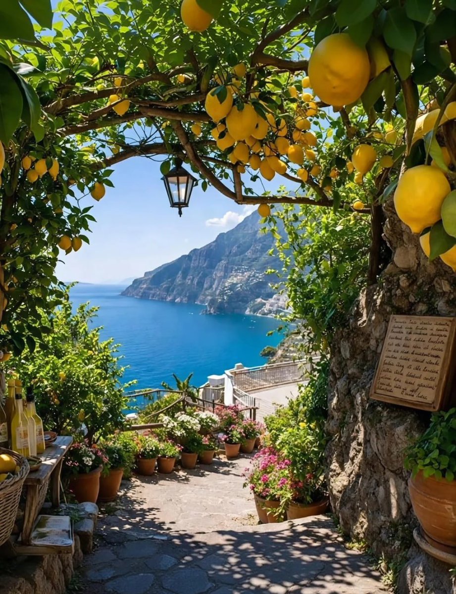 kyra6688's tweet photo. Sorrento🥰 https://t.co/IXcJkujFQ3