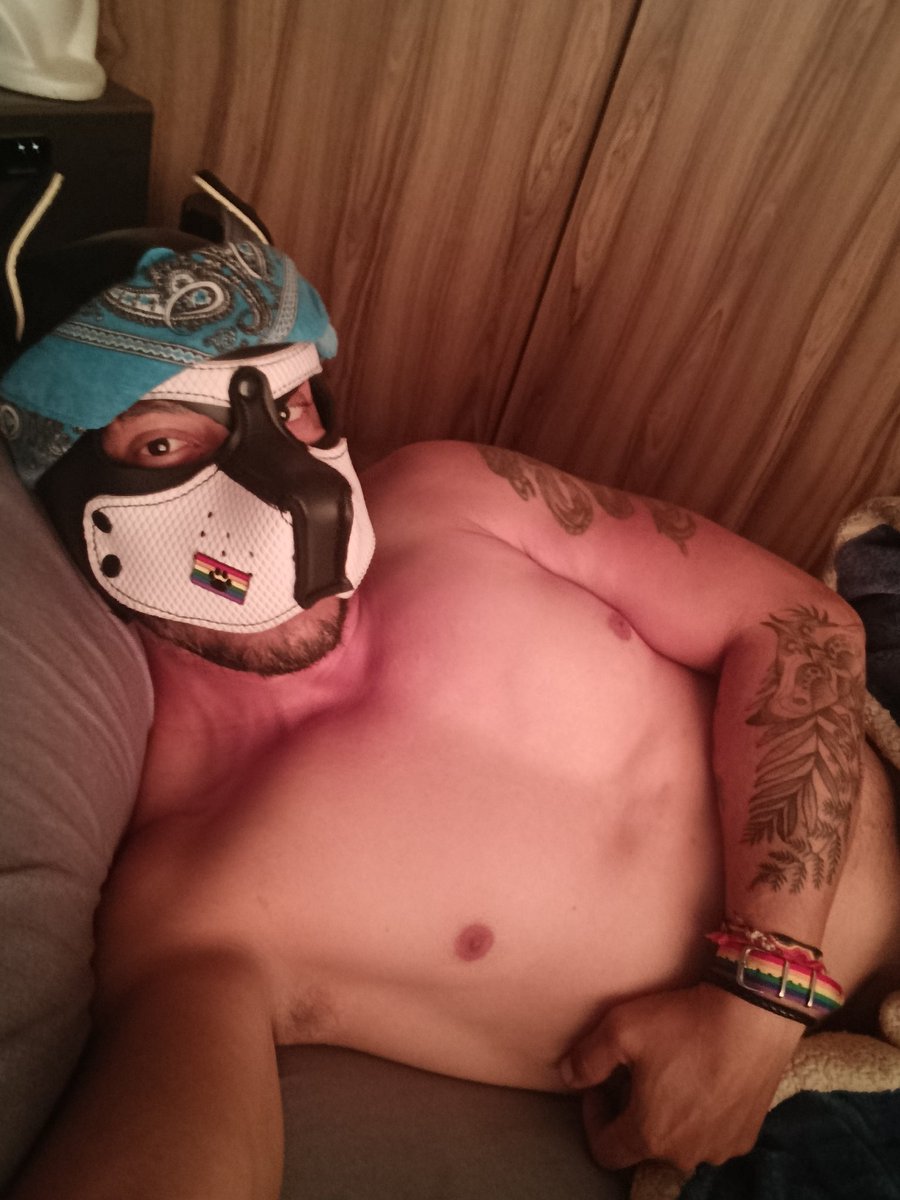Thepupmike's tweet photo. Woof and hot morning 🐾🔥😈 
I invite you to be bad and get dirty in my bed—are you coming?

#PuppyPlay
#PupPlay 
#PuppyLife
#PupLife
#HumanPup
#PuppyCommunity
#PupCommunity
#gaypuppy
#PuppyMask https://t.co/Q6fUYqF4ci