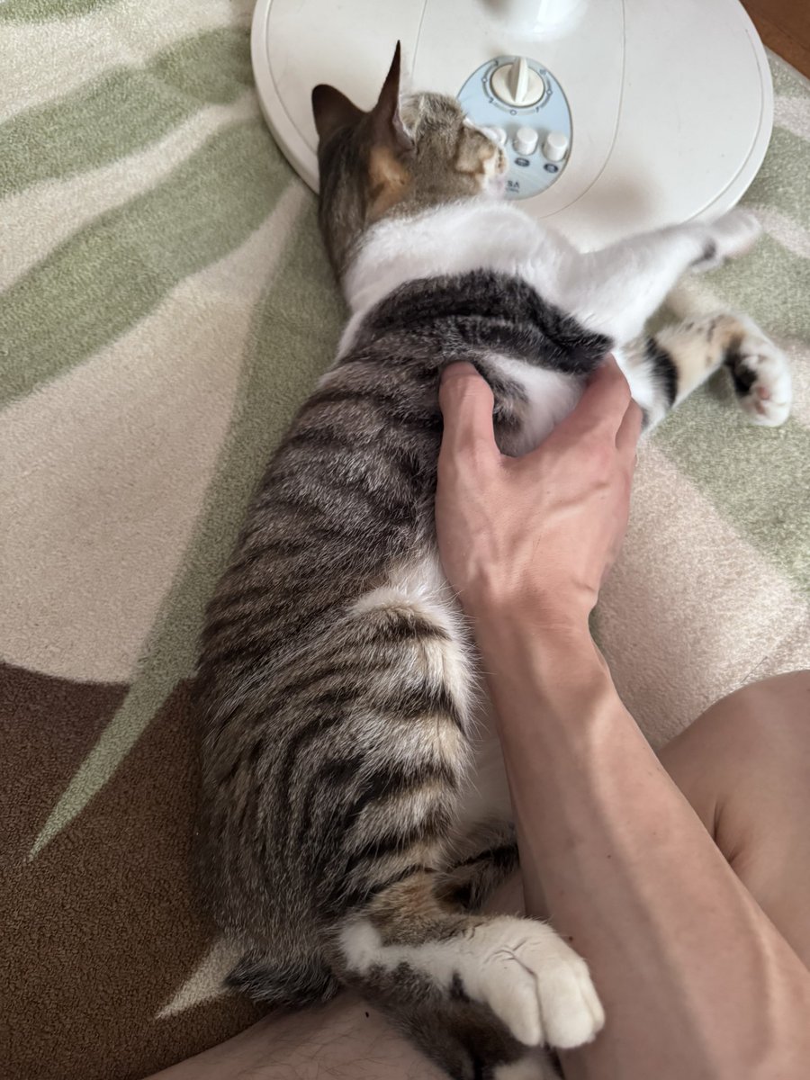 たかやん ゆるり〜ず tweet media