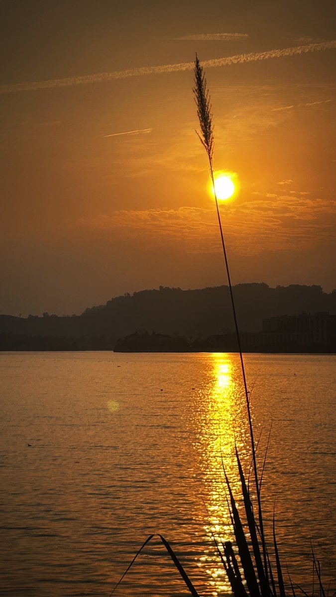 nps6514's tweet photo. Our university photography club’s sunset shoot at West Lake this Sat! Grab your camera, meet new shutterbugs, and snap stunning golden-hour shots—open to all skill levels. Sign up via link in bio! https://t.co/AcCnUdKvt8