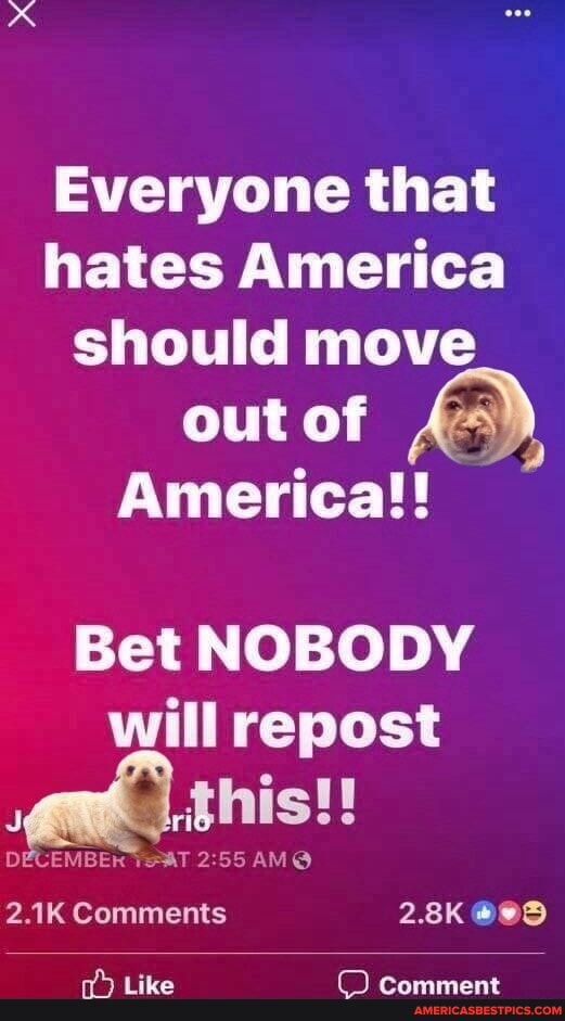 trappermd10's tweet photo. #america #should #move 
https://t.co/pwK3WpHc8j
#AmericasBestPicsAndVideos https://t.co/rUhZztppNf