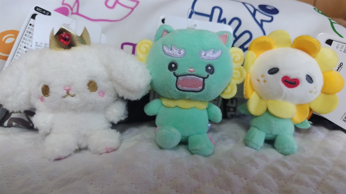 u02suki's tweet photo. 新しい仲間が増えた(⁠ ⁠◜⁠‿⁠◝⁠ ⁠)⁠♡
GET出来て幸せです(⁠♡⁠ω⁠♡⁠ ⁠)⁠ ⁠~⁠♪
可愛すぎる♥ https://t.co/RAXLncgRZr