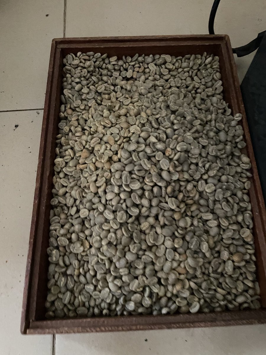Muganzisecure's tweet photo. Can 50 acres of coffee generate US$1 million? 
Yes but only if we stop thinking like raw commodity sellers.

The problem isn’t that our farmers don’t grow enough coffee. The problem is that we’ve been taught to measure success by the number of bags we sell instead of the number of consumers who buy our brand.

Imagine a well-managed 50-acre coffee farm.

450 coffee trees per acre
50 acres = 22,500 trees
Each tree produces 2 kg of green coffee

That gives us:

22,500 trees × 2 kg = 45,000 kg of green coffee.
After roasting (assuming an 85% roasting yield), that’s approximately: 38,250 kg of roasted coffee.

Package it into 250 g bags:

38,250 kg ÷ 0.25 kg = 153,000 bags.

If each bag sells for US$6, the revenue becomes: 153,000 × US$6 = US$918,000.

Now imagine you build a strong Ugandan coffee brand, improve your packaging and sell that same 250 g bag for just US$6.55 instead.

153,000 × US$6.55 = US$1,002,150.

That’s over US$1 million from the same 50 acres.

Nothing changed on the farm.

The coffee didn’t suddenly become magical. The difference was value addition.

For too long, we’ve celebrated exporting raw coffee while other countries roast it, package it, tell its story and earn the biggest share of the profit. We’ve become experts at producing wealth for everyone except ourselves.

The future of Uganda’s coffee industry won’t be built by growing more coffee alone. It will be built by young people who own roasteries, create brands, design beautiful packaging, open cafés, sell online and place Ugandan coffee on supermarket shelves across the world.

Coffee is not just an agricultural product. It is a brand, an experience, and a business.

The question is no longer whether Uganda can produce enough coffee.

The question is: When will we start owning more of its value?

The goal is a million dollar farm who is in we make this happen