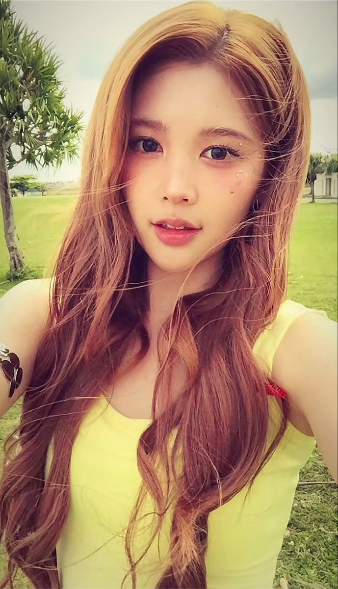 _yxnaz's tweet photo. 🌴☀️
#연능 #멤놀 #맘눌뎀 https://t.co/1r9l3ONfV8