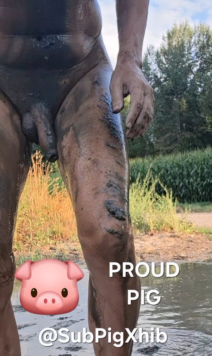 SubPigXhib's tweet photo. https://t.co/j2T9VP0Cyx