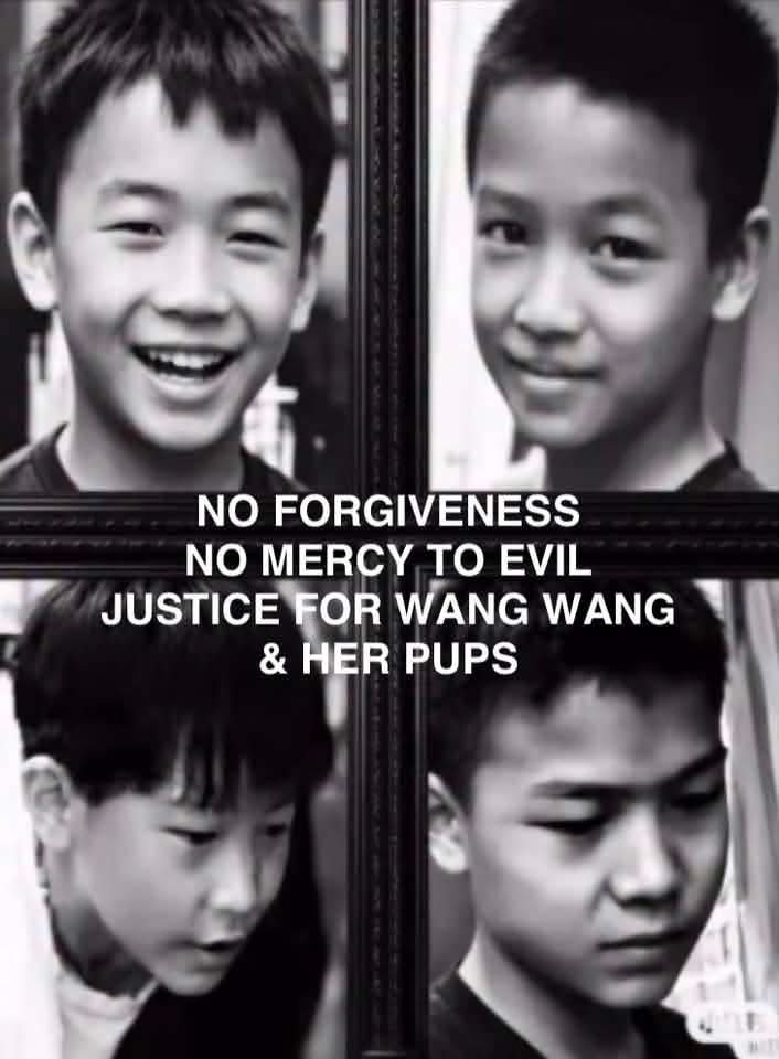 _aridaea's tweet photo. #JusticeForWangwangAndPuppies https://t.co/BkcRGqUCQo
