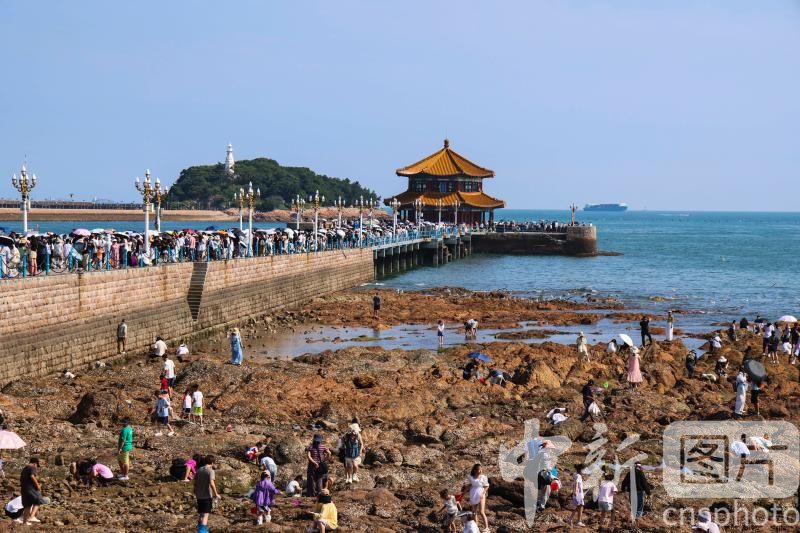 photo_cns's tweet photo. Tourists come to Zhanqiao Pier and Huilan Pavilion to enjoy the beautiful scenery of the city's seaside, Qingdao City, Shandong Province, July 21, 2026.
(Photo by Han Jiajun/CNSPHOTO)
#ImageChina #影像中国 https://t.co/IWFoTgfQrF