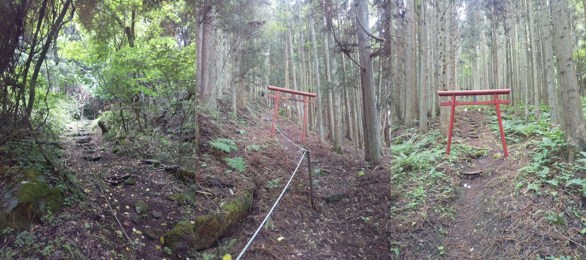 MingoDesuto's tweet photo. 遠野市　程洞の金勢様
五百羅漢の近くだが
かなり山の斜面を登る。
色々とセンシティブでもある。 https://t.co/HVJfpyAkAE