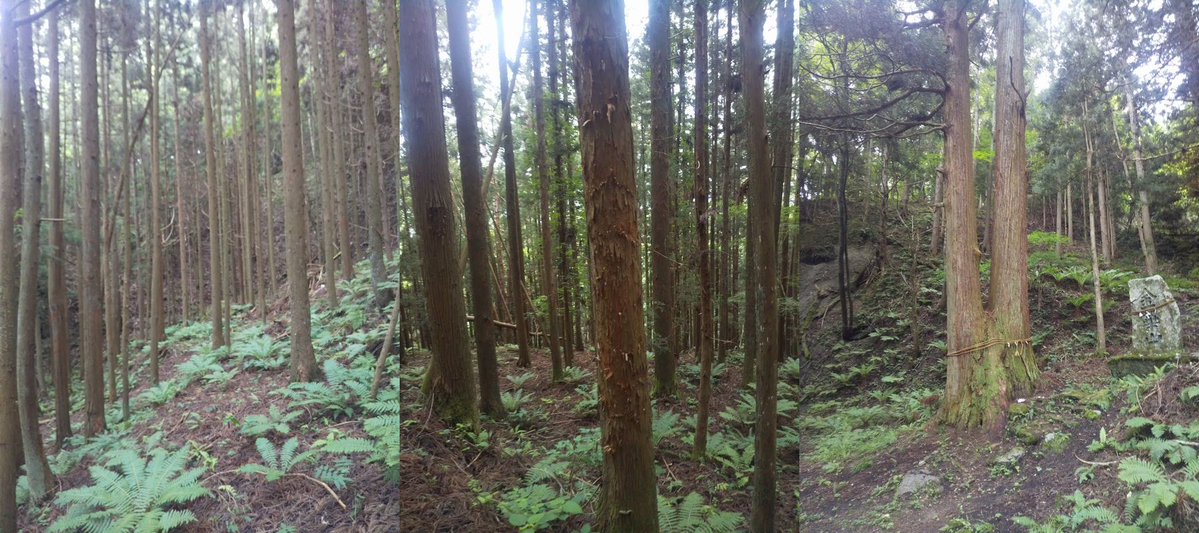 MingoDesuto's tweet photo. 遠野市　程洞の金勢様
五百羅漢の近くだが
かなり山の斜面を登る。
色々とセンシティブでもある。 https://t.co/HVJfpyAkAE