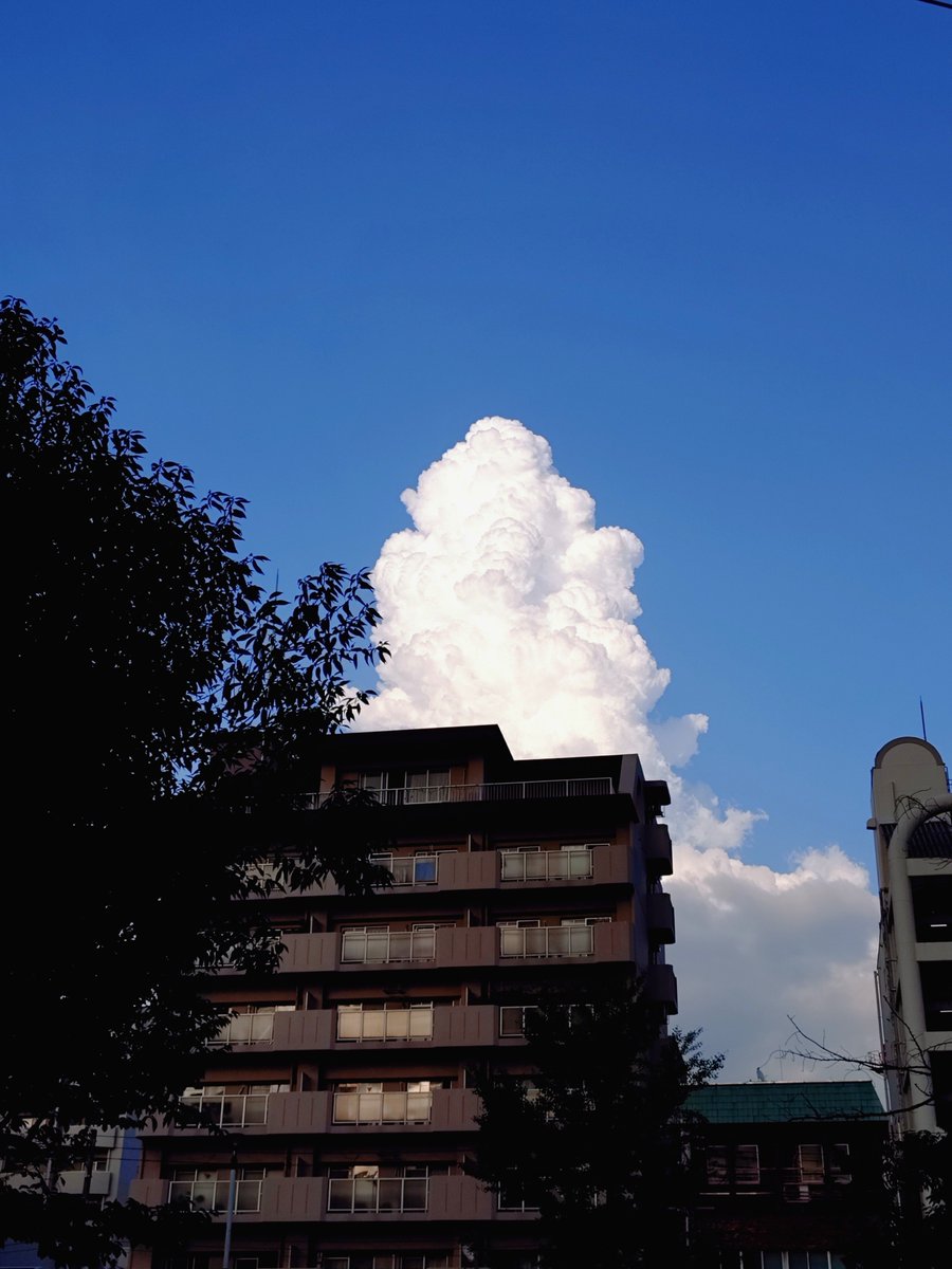 pg_fiorello's tweet photo. ソフトクリームみたいな雲🍦 https://t.co/TgbveHHCCb