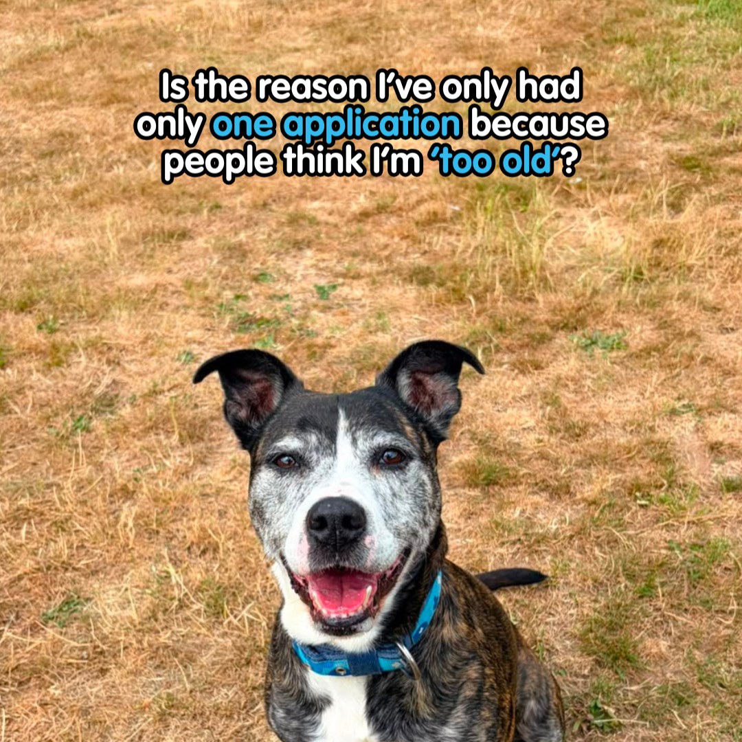 The_Blue_Cross tweet picture