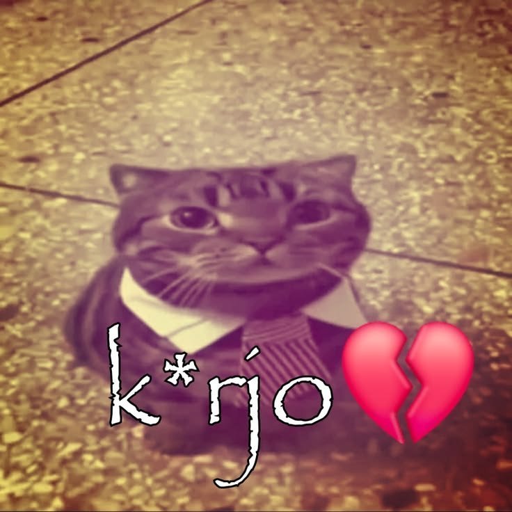 Barelymintz's tweet photo. Pancet budal, la yaapa maneh, kate lapo wong aku seneng mangan enak mbek tuku sg gemes https://t.co/MEkDFw2YVj
