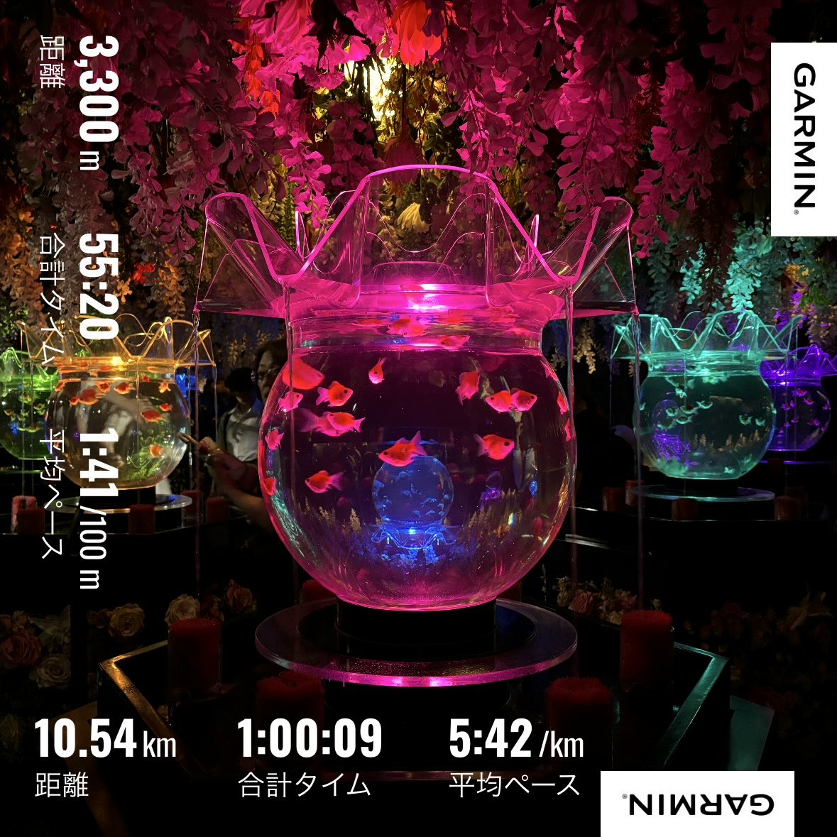 swimming_jp's tweet photo. 7/23 🏊‍♂️5500m+夜ラン8km🏃
7/24 🏊‍♂️3300m
7/25 昼ラン11km🏃

去年まで夏になると暑さに負けて体調不良になっていましたが🫠今年は意外に抗う事ができている❓だいぶ夏のランニングに慣れてきたような…なんとか乗り切りたい💪
しかし時計の押し忘れって気分落ちますね💦
https://t.co/OhKsrS51Ou https://t.co/09zWC2tkuj