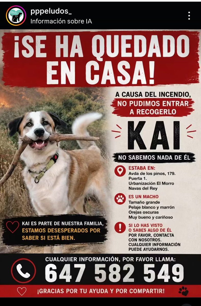 VidasSos's tweet photo. #KAI SE BUSCA
#NavasDelRey 🆘🚒🆘🚒🚒

#ifsierraoeste #incendios #madrid #avila #España https://t.co/CvmbhoyLbI