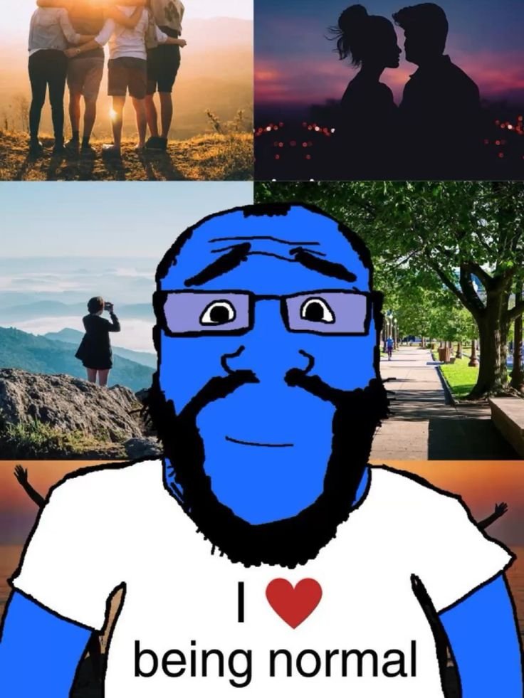 D4Dictator's tweet photo. I wish I was a normie https://t.co/WbllTmMik4