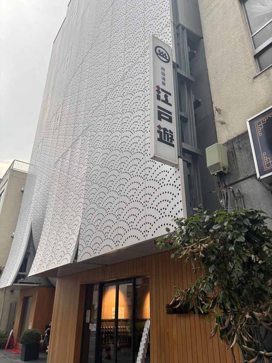 もっぴこと秋桜🌗 tweet media